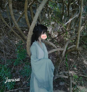 从赘婿到女帝宠臣完整版_1080PBD在线观看